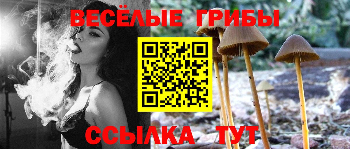 Галлюциногенные грибы прущие грибы  Вход с VPN  Галлюциногенные грибы GOLDEN TEACHER  Майский 